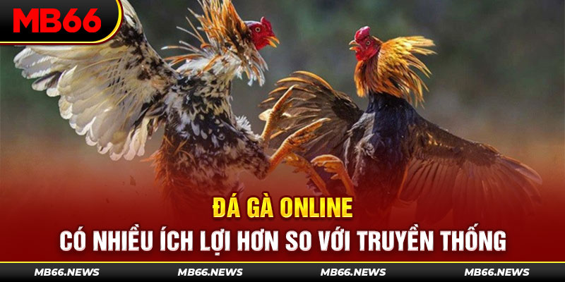Đá gà online có nhiều ích lợi hơn so với truyền thống